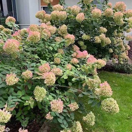 Schoene Zweiraumwohnung In