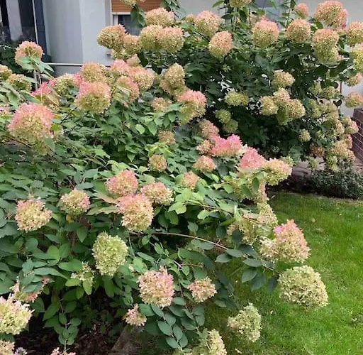 Schoene Zweiraumwohnung In