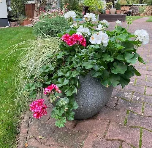 Apartment Schoene Zweiraumwohnung In Cottbus